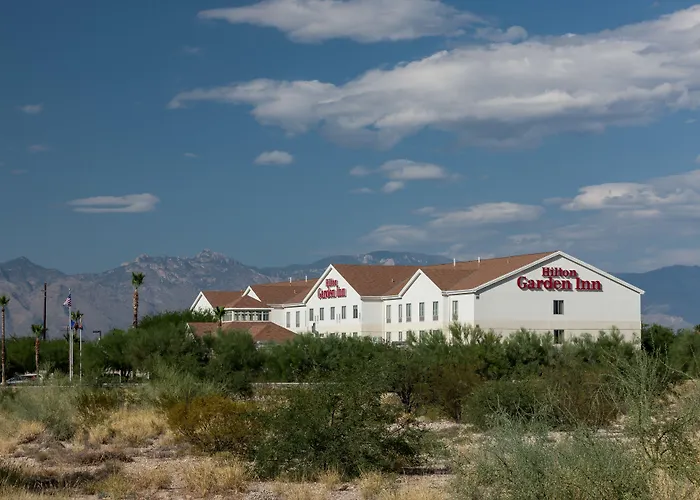 Hilton Garden Airport 3*