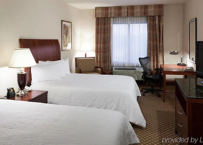 Hilton Garden Airport 3*