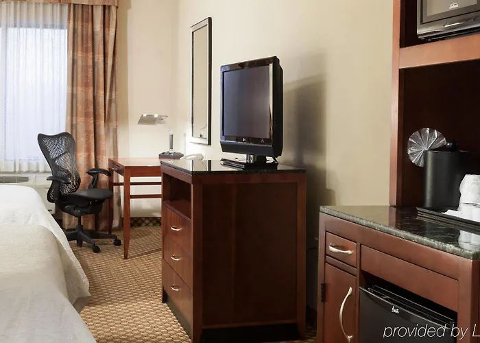 Hilton Garden Airport Hotel 3*