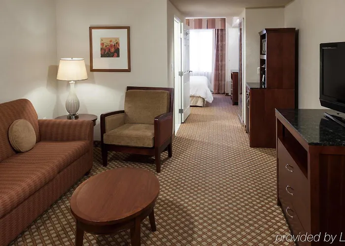Hilton Garden Airport Hotel 3*