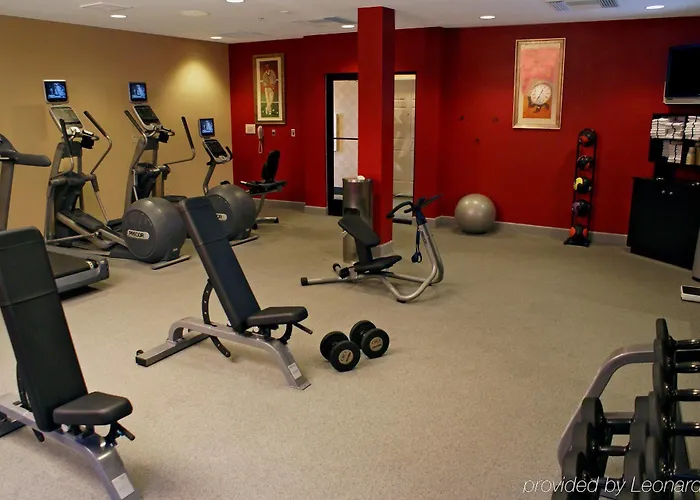 Hotel Hilton Garden Airport 3*
