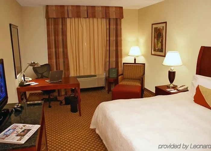 Hotel Hilton Garden Airport