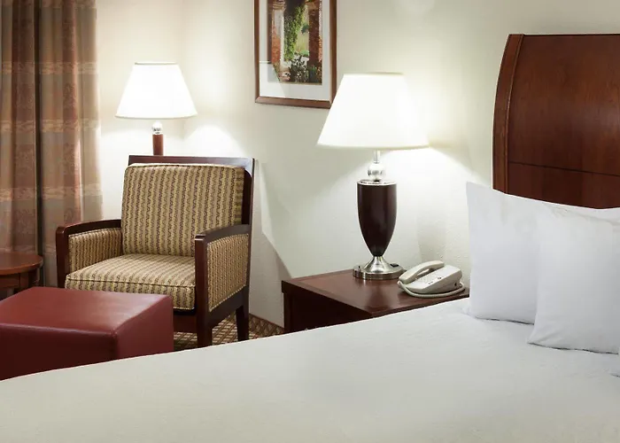 Hilton Garden Airport 3*